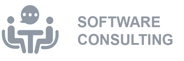 software consulting